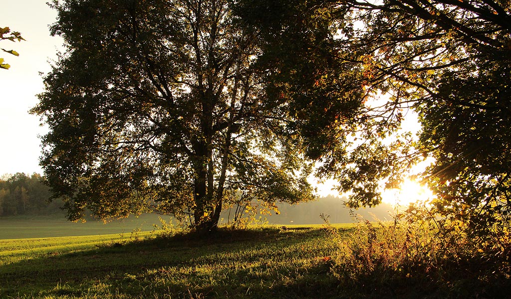 HERBSTLIEBE