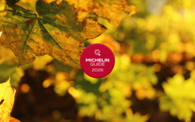 MICHELIN Key BEI SCHUMANN